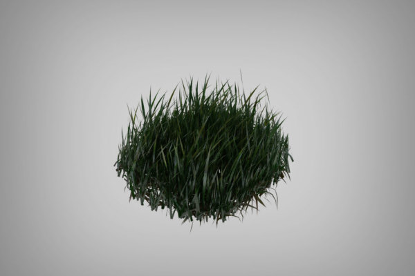 Meadow_Grassbundle