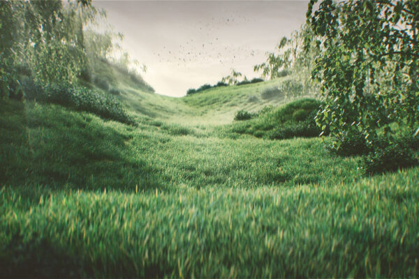 Meadow_8bit_Low-Res